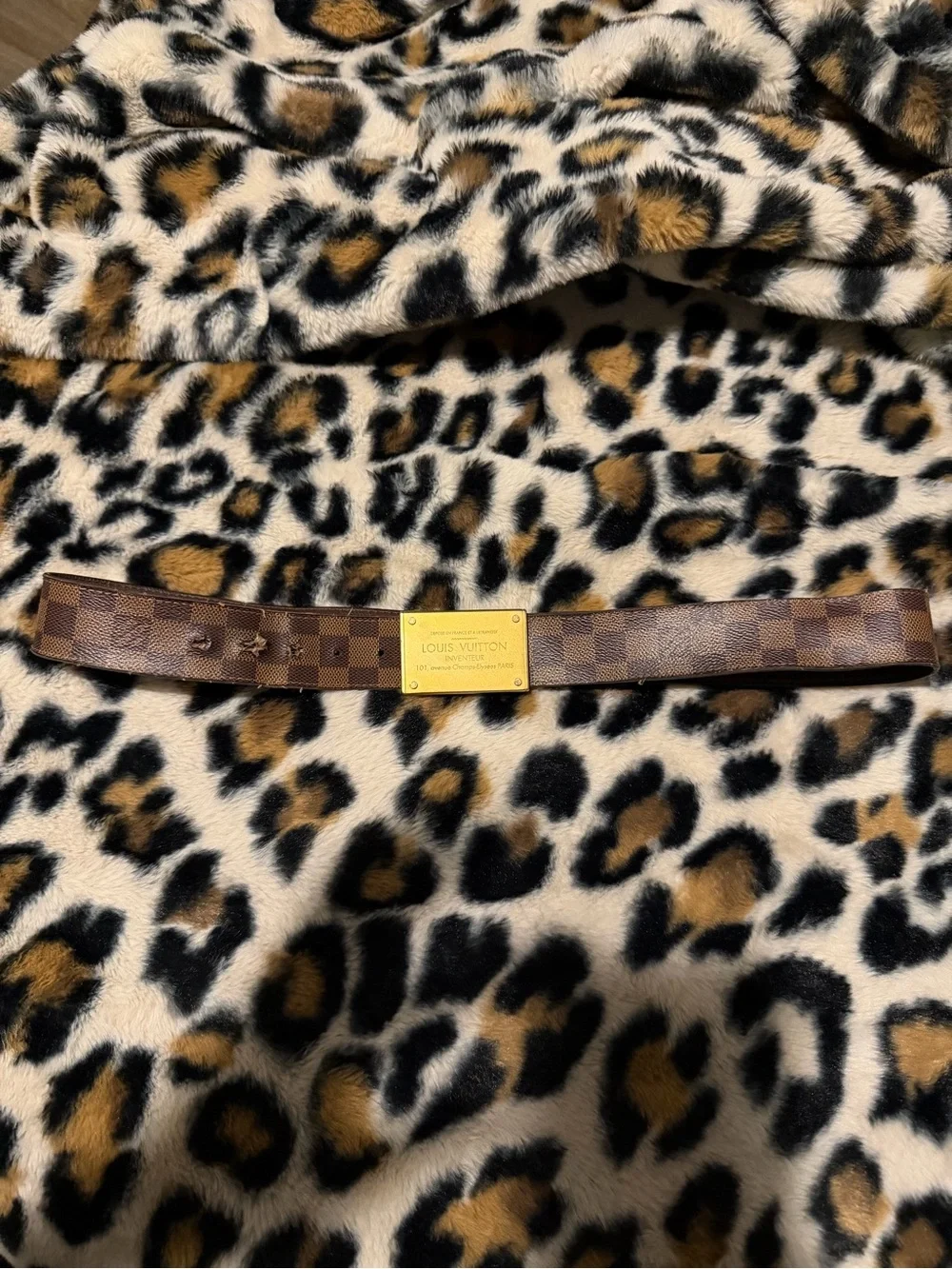 Louis Vuitton ****authentic obvious